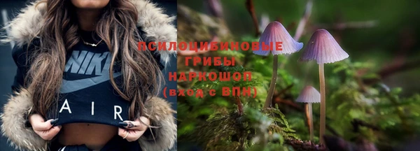 mdma Снежногорск