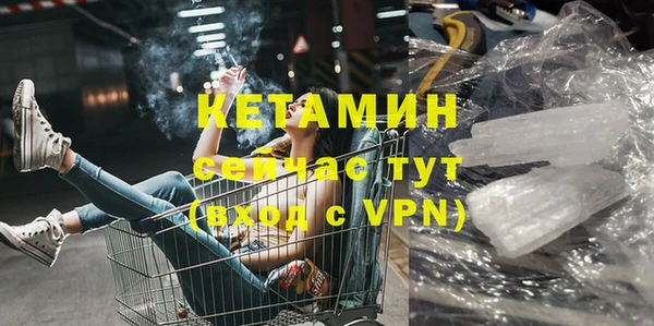 стаф Арсеньев