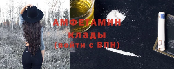стаф Арсеньев