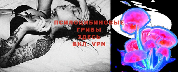 стаф Арсеньев