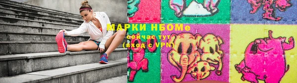 стаф Арсеньев