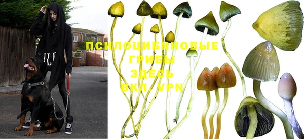 мяу мяу кристалл Армянск