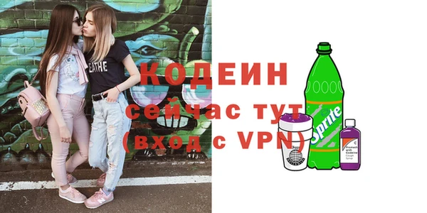 стаф Арсеньев