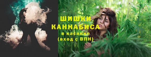 стаф Арсеньев