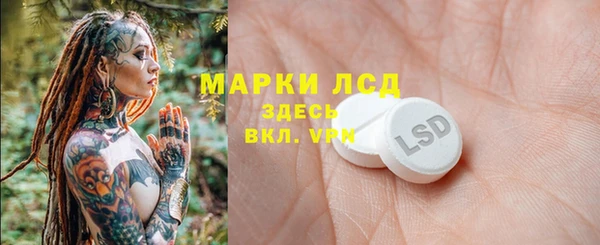стаф Арсеньев