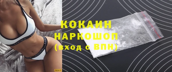 стаф Арсеньев